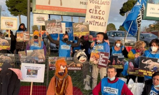 Giulianova, proteste contro l’arrivo del Circo Orfei