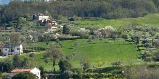 Montorio al Vomano, il Consiglio comunale dice addio all’autodromo: 400mila mq tornano agricoli