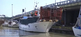 Vongole di qualità a Giulianova: ripresa la pesca dopo lo stop