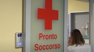 Giulianova, giardiniere aggredito da uno sciame di api: salvato per miracolo