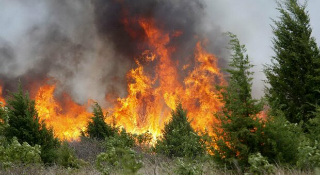 Incendio di vaste proporzioni a San Nicolò a Tordino, sfiorata un’azienda automobilistica